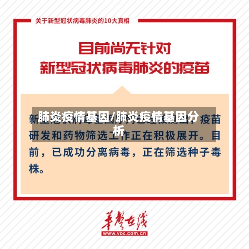 肺炎疫情基因/肺炎疫情基因分析