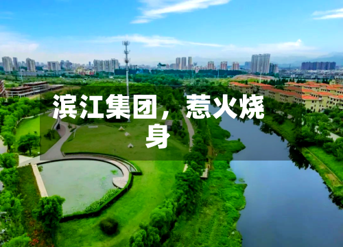 滨江集团,惹火烧身
