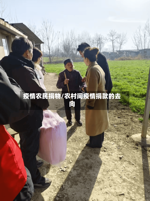 疫情农民捐物/农村间疫情捐款的去向