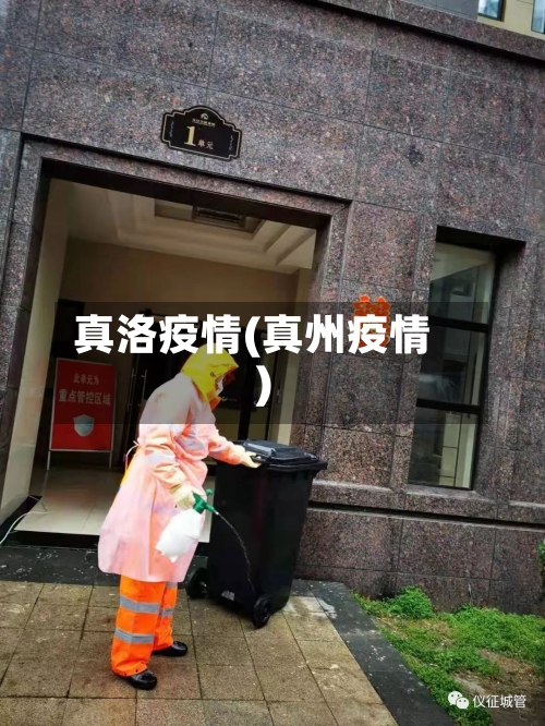 真洛疫情(真州疫情)