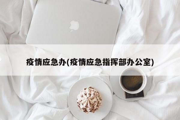 疫情应急办(疫情应急指挥部办公室)